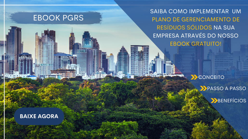 E-Book de PGRS