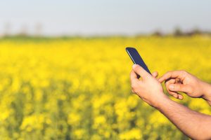 Celular representando a automação na agricultura e no agronegócio.