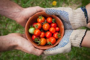 Tomatinhos.